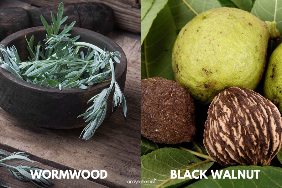 BLACK WALNUT AND WORMWOOD SIFE EFFECTS