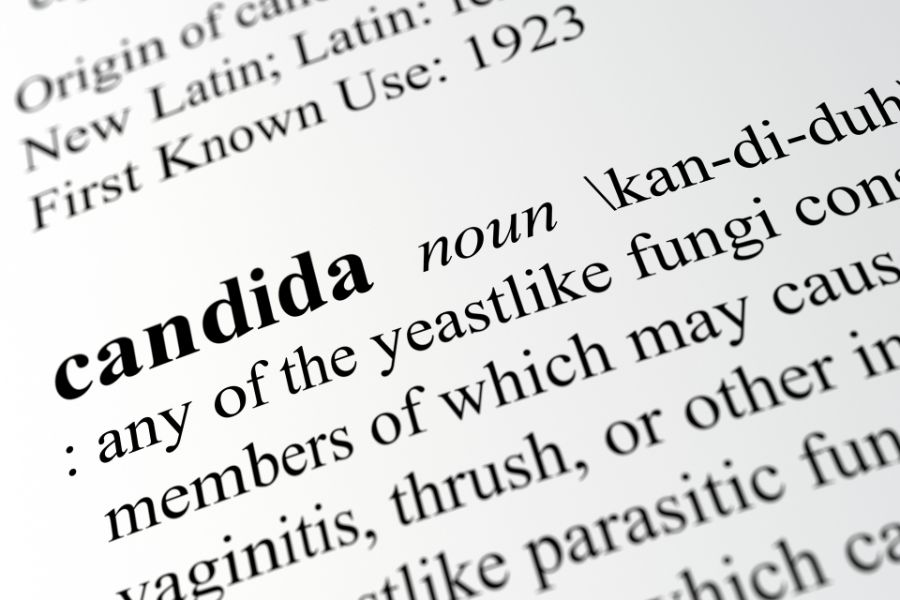 CANDIDA DEFINITION