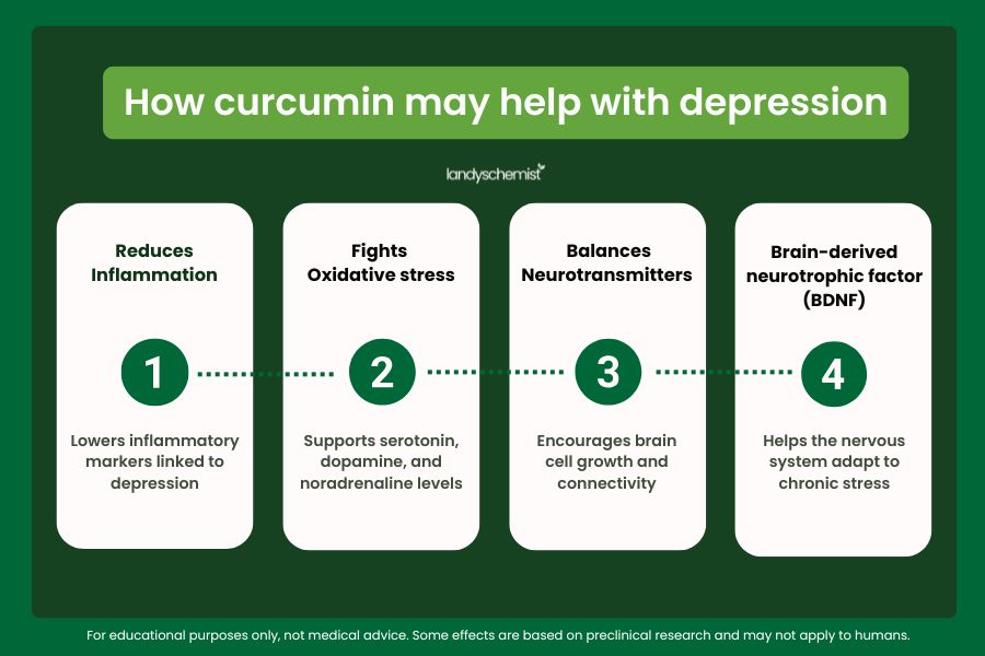 how curcumin works for depression and anxiety infogrpahic