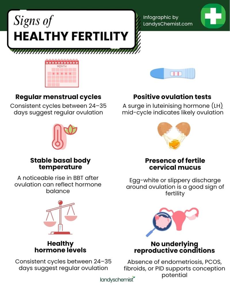 infographic showing the signs of good fertility in women