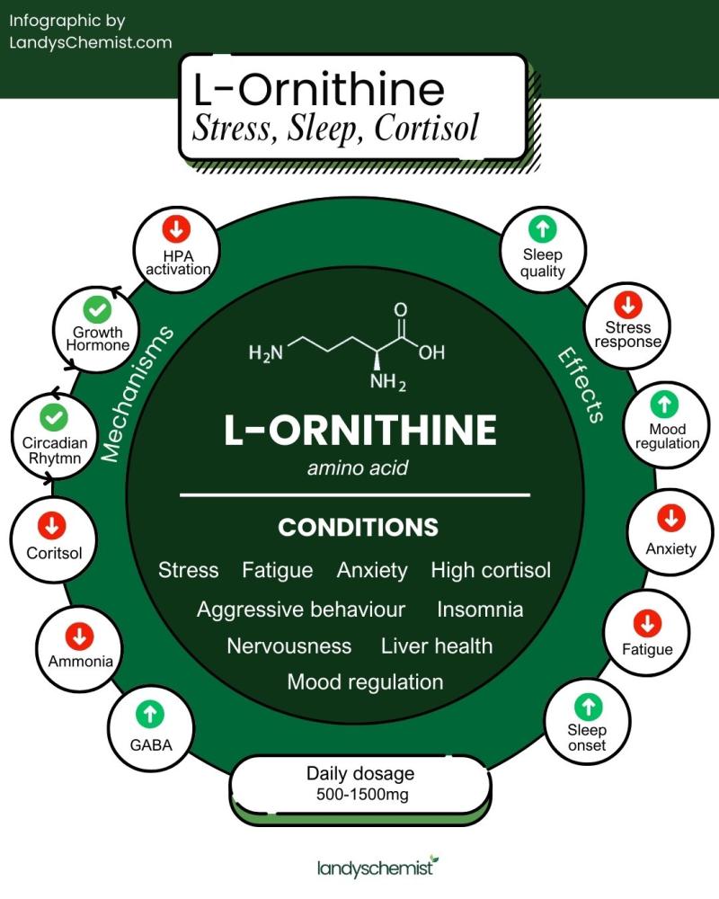 l-ornithine for lowering cortisol and stress