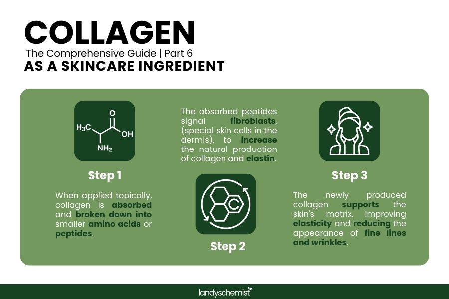 skincare collagen hyaluronic acid