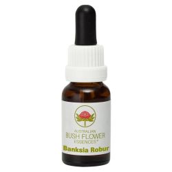 Australian Bush Flowers Banksia Robur 15ml