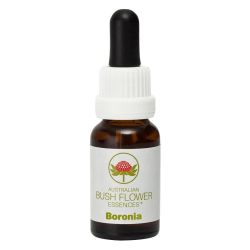 Australian Bush Flowers Boronia 15ml