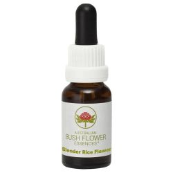 Australian Bush Flowers Slender Rice Flower 15ml