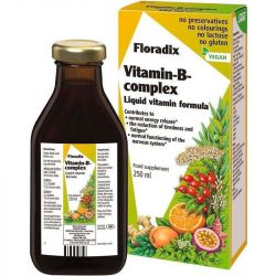Floradix Vitamin B-Complex Liquid 250ml