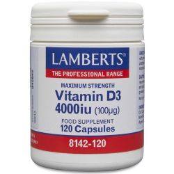 Lamberts Vitamin D 4000iu Tablets 120
