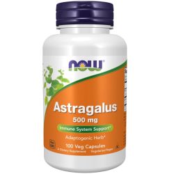 NOW Foods Astragalus 500mg Capsules 100