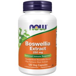 NOW Foods Boswellia Extract Plus Turmeric Root Extract 250mg Capsules 120