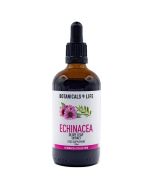 Botanicals4Life Echinacea & Olive Leaf Tincture 100ml