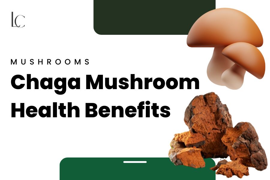Chaga mushroom benefits