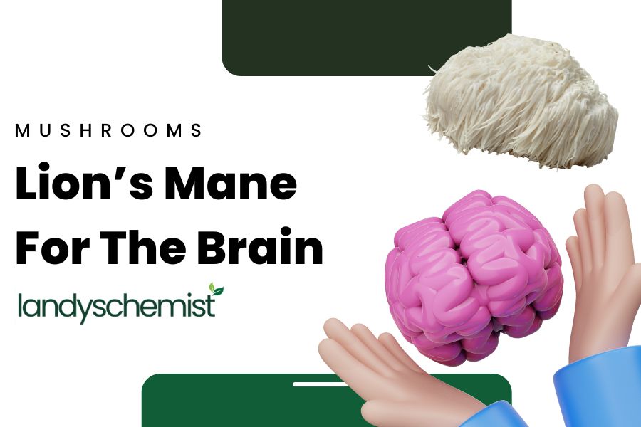 Benefits of lions mane for the brain