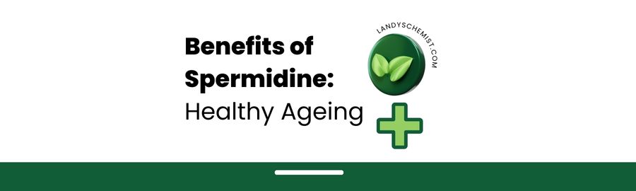 health benefits of spermidine supplements with scientific studies