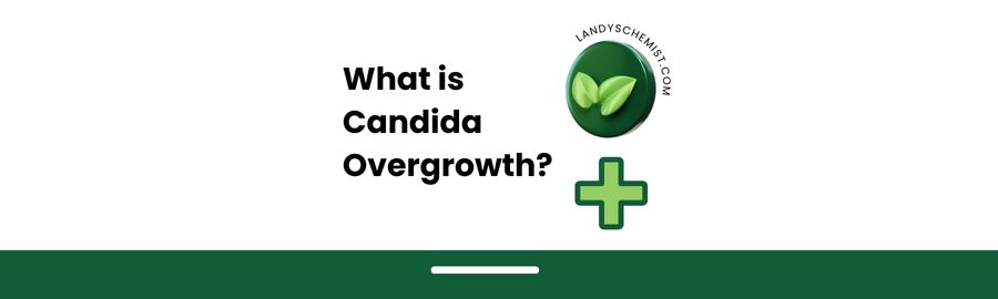 WHAT IS CANDIDA