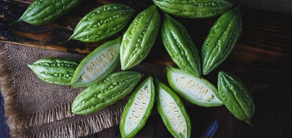 what is bitter melon