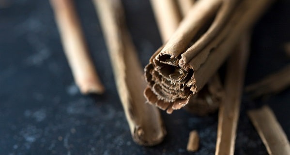the benefit sof cinnamon