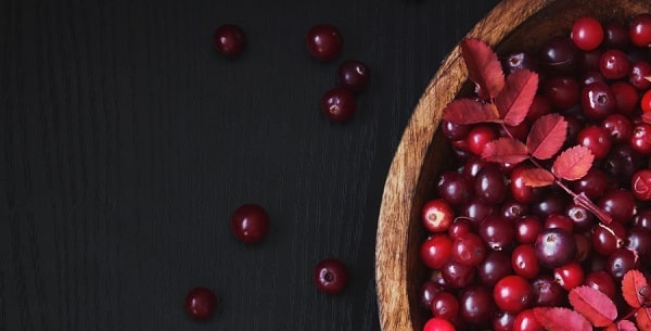 the benefits of cranberry