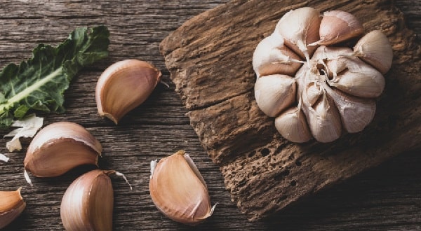 benefits of garlic