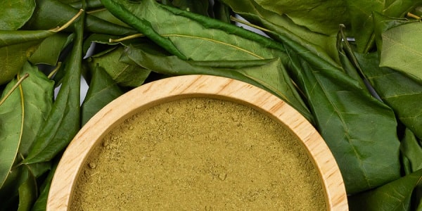 benefits of neem leaf