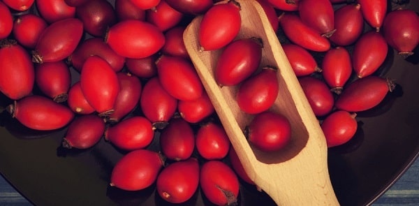 benefits of rosehip