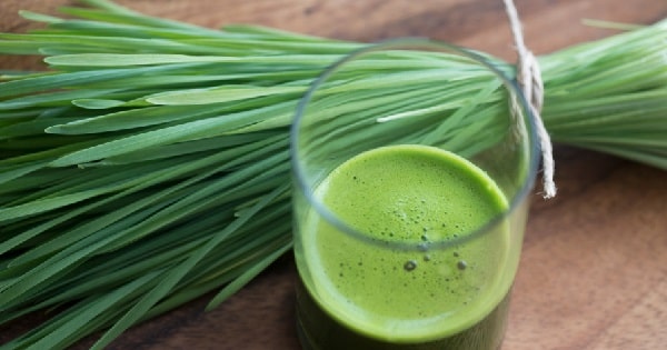 benefits of wheatgrass