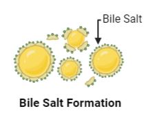 bile-salt